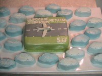 /album/fotogaleria-torty-na-stuzkovu/a731-jpg/