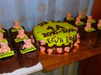 /album/fotogaleria-torty-na-stuzkovu/a981-jpg/