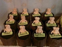 /album/fotogaleria-torty-na-stuzkovu/a981a-jpg/