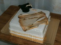 /album/fotogaleria-torty-na-stuzkovu/a1073-jpg/