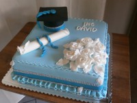 /album/fotogaleria-torty-na-stuzkovu/a1277-jpg/